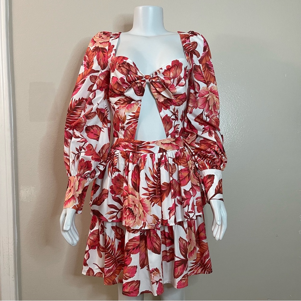 Floral print long sleeve Shirred back ruffled cutout mini dress